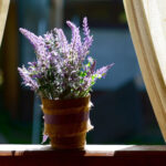 Lavendel Im Schlafzimmer Gefährlich - Badezimmer Ideen throughout Lavendel Im Schlafzimmer Gefährlich