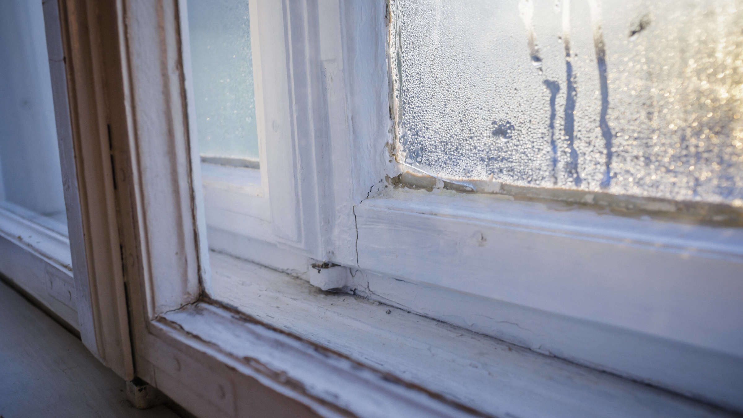 Fenster In Der Wohnung Regelmäßig Beschlagen – So Lüften Sie Richtig intended for Nasse Fenster Im Schlafzimmer